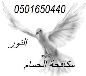 شركة مكافحة الحمام بالدمام